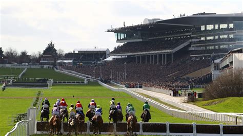 cheltenham day 1 odds|Cheltenham Festival Day 1 .